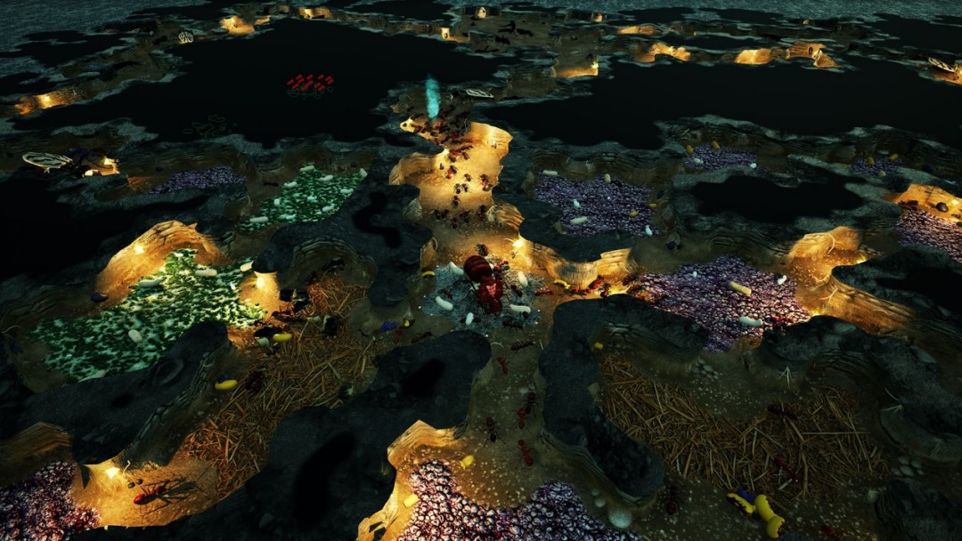 《地下蚁国》评测:真·地下城守护者(图2) 《地下蚁国》评测:真·地下城守护者