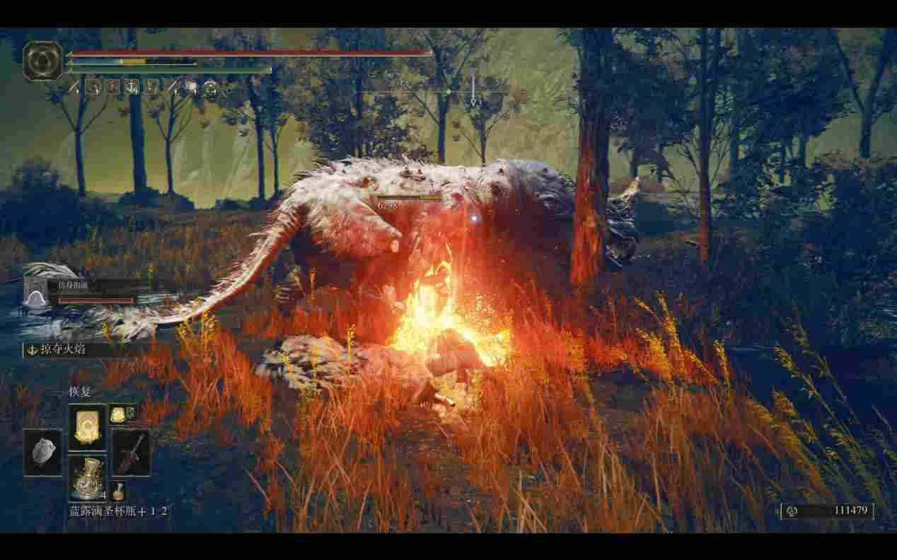 《艾尔登法环》DLC“黄金树幽影”评测：被美学击穿的游戏性