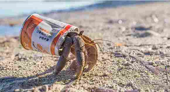 《蟹蟹寻宝奇遇》评测:看一眼就会痛风(图22) 《蟹蟹寻宝奇遇》评测:看一眼就会痛风