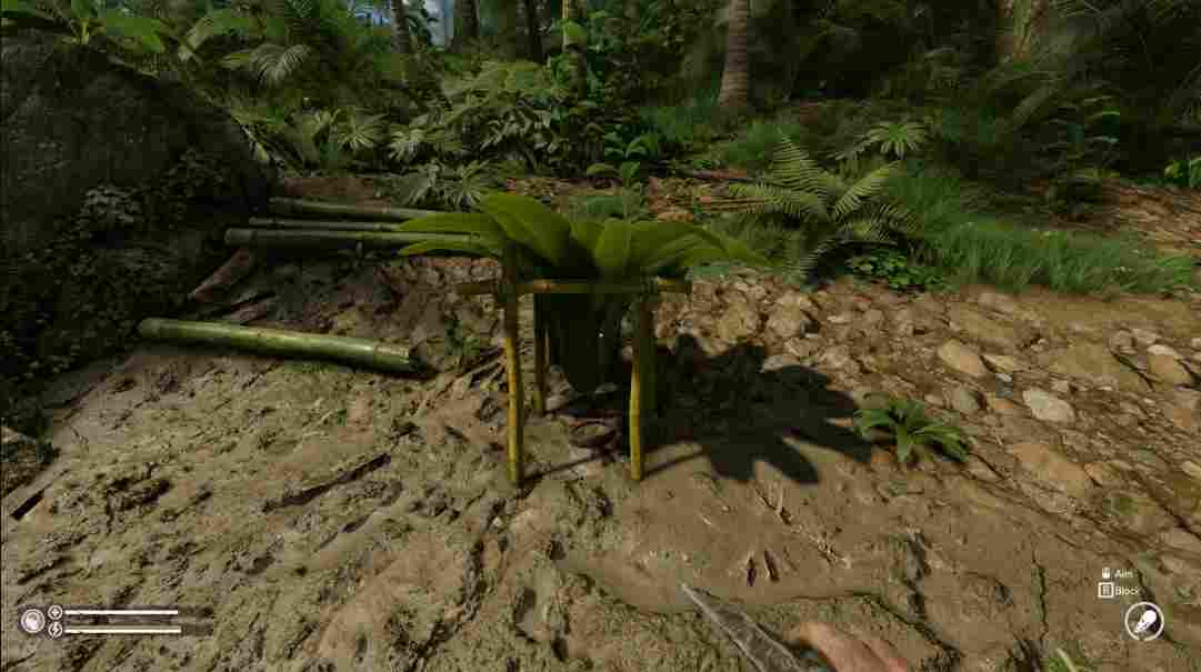 《绿色地狱》评测:恶心、残酷而又痛苦地求生(图7) 《绿色地狱》评测:恶心、残酷而又痛苦地求生