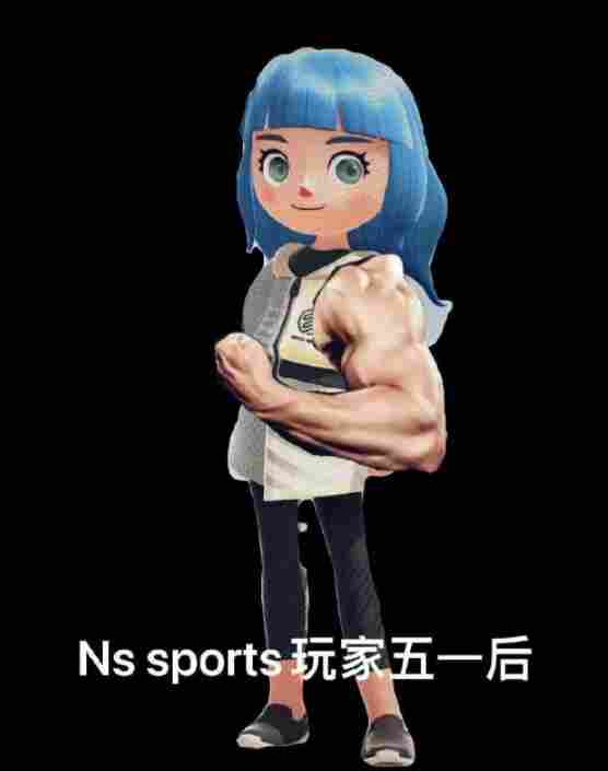 《NS Sports》评测：好玩而且废手