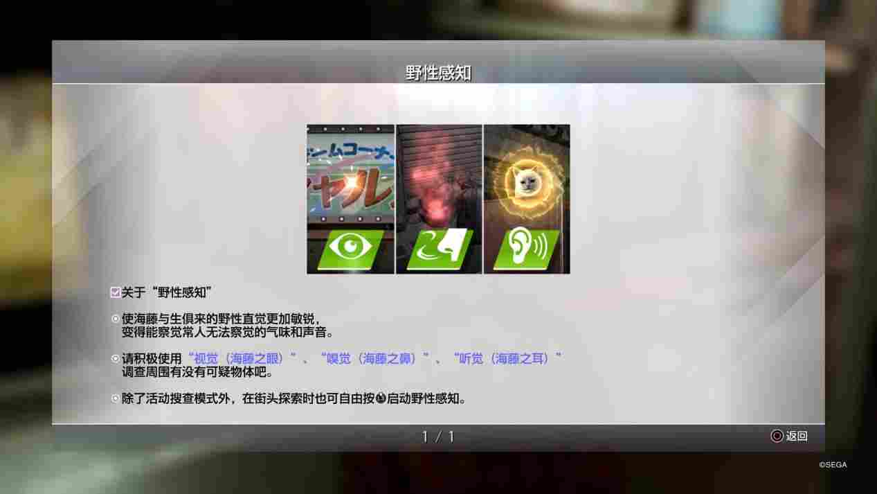 《审判之逝:湮灭的记忆》海藤正治事件簿评测:人赠外号小桐生(图6) 《审判之逝:湮灭的记忆》海藤正治事件簿评测:人赠外号小桐生