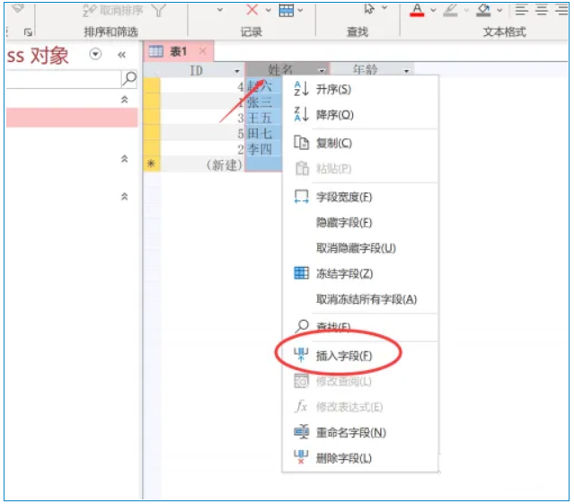 access2013怎么设置flied?access2013设置flied的方法(图4) access2013怎么设置flied?access2013设置flied的方法截图