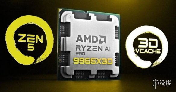 曝AMD或推新型16核专业处理器Ryzen 9 PRO 9965X3D(图2) 游侠网2