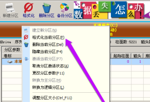 diskgenius怎么格式化硬盘？diskgenius格式化硬盘的方法截图