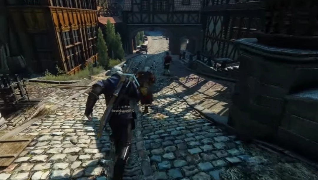 《巫师3》推多人联机mod 可以和朋友一起畅玩了！