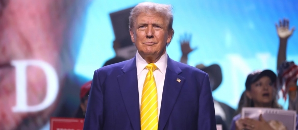 特朗普“客串”《星露谷物语》 白宫发帖引爆网络