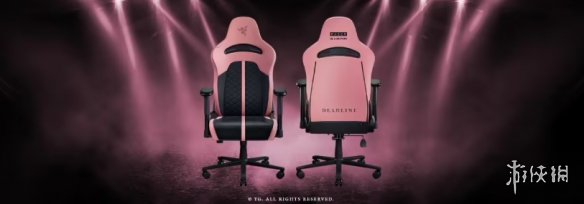 粉墨登场!雷蛇 × BLACKPINK 限量联名外设正式发布(图4) 游侠网4