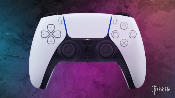 Reddit网友分享“PS5手柄”被自家狗狗撕咬后的惨状(图2) 游侠网2