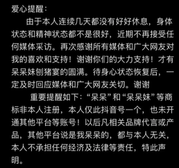 2026第一“杀猪盘”:从杀猪到杀流量,从流量到留量(图15) 游侠网15