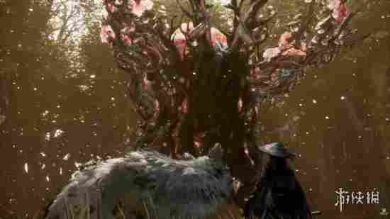 《轮回之兽》战斗走硬核混合路线 而非宝可梦回合制!(图2) 游侠网2