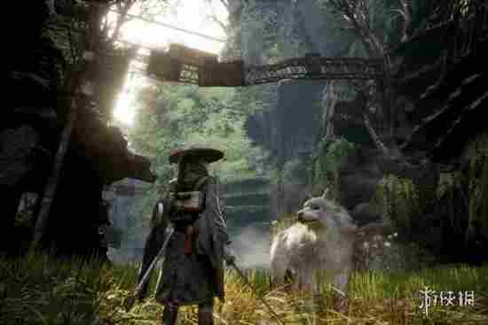 宝可梦开发商《轮回之兽》画面爆强!宝可梦粉丝嫉妒了(图1) 游侠网1