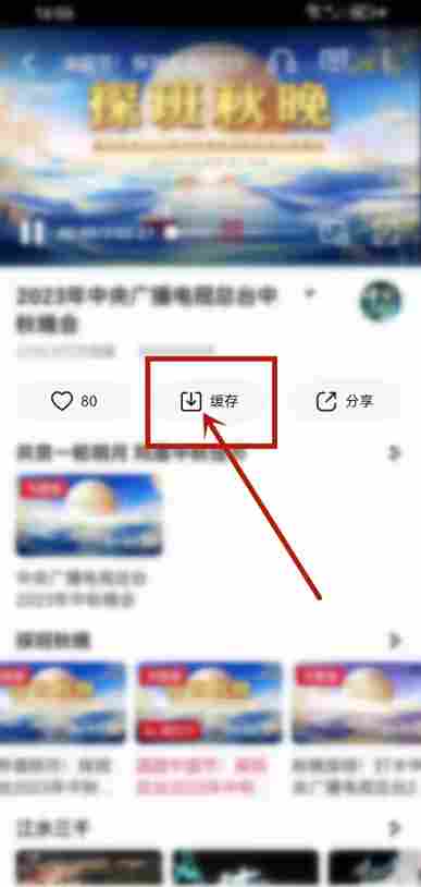 央视频怎么下载视频到本地?央视频下载视频到本地的步骤(图3) 央视频怎么下载视频到本地?央视频下载视频到本地的步骤截图