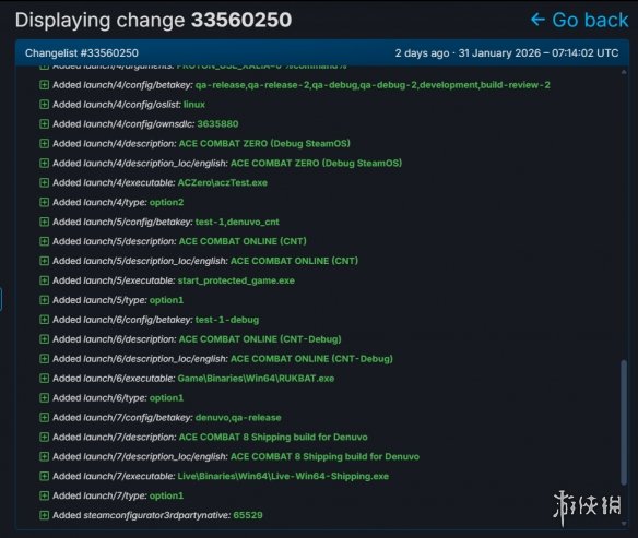 又一款大作沦陷?SteamDB泄露《皇牌空战8》有D加密(图2) 游侠网2