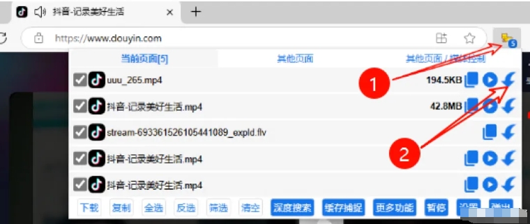 猫抓怎样抓mp4源？猫抓插件抓取mp4源的教程截图