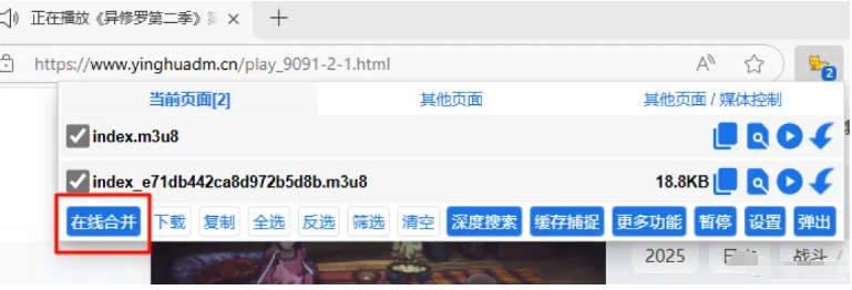 猫抓怎样抓mp4源？猫抓插件抓取mp4源的教程截图