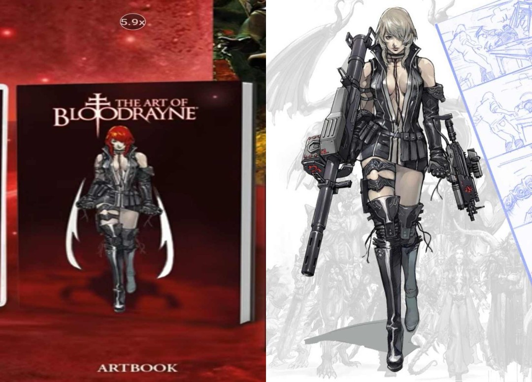 《吸血莱恩》设定集封面被指抄袭《忍者龙剑传2》(图1) 《吸血莱恩》设定集封面被指抄袭《忍者龙剑传2》