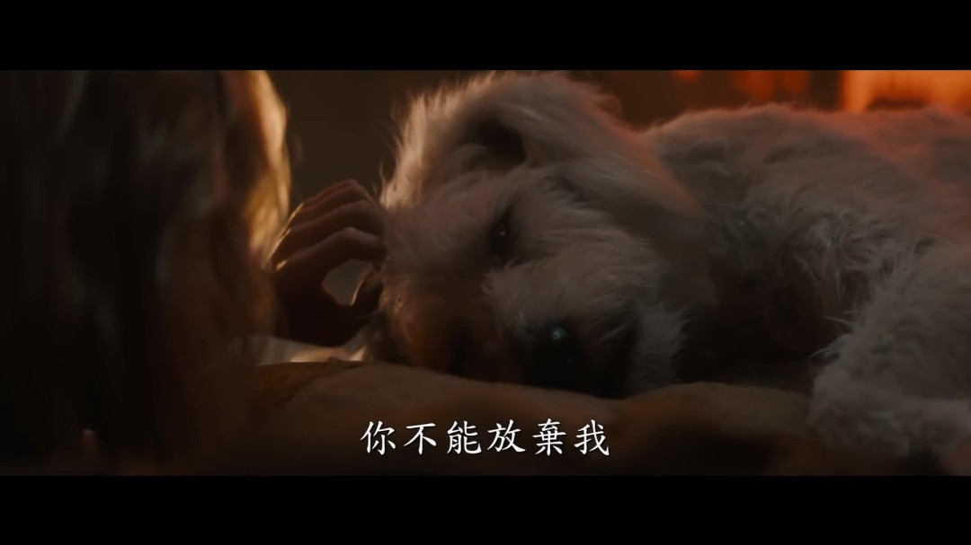 DC电影《超级少女》新预告 又是为了一只狗大杀四方