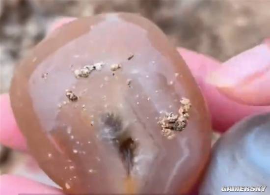 工地挖出玛瑙引市民疯抢,没想到这些石头背后藏着这样的秘密(图2) 游民星空