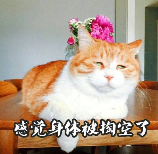 一到年底就浑身没劲，原来不是懒而是身体在求救